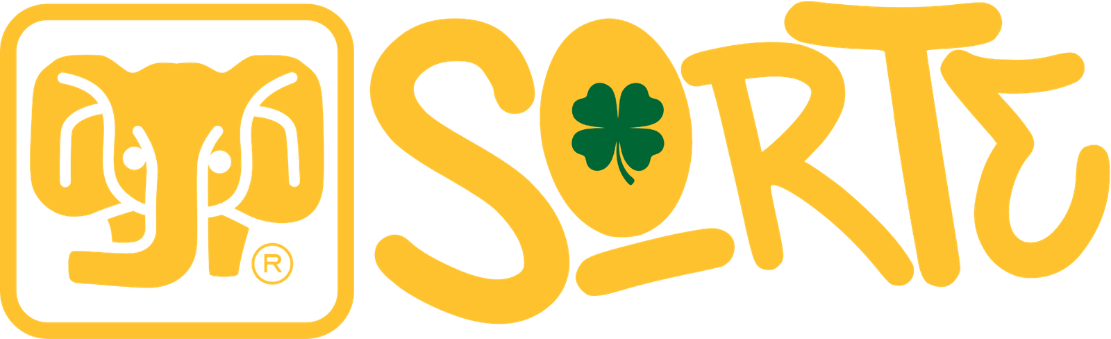 JM SORTE